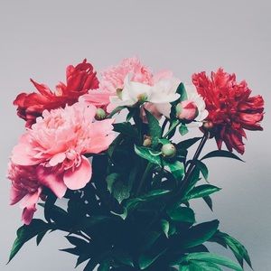 Meet your Posher, Paige